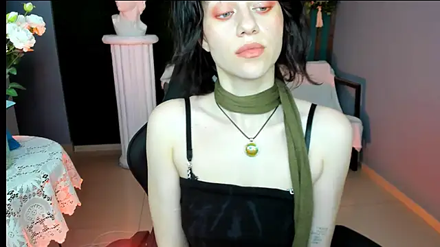 LidaDarknet webcam