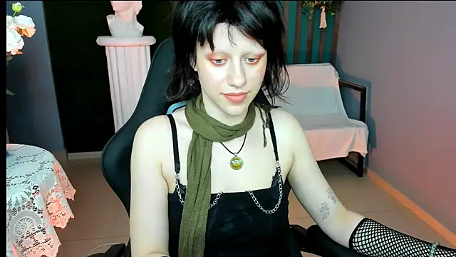LidaDarknet webcam