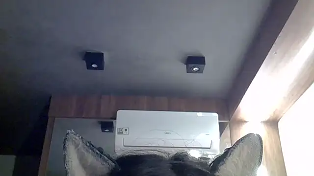 SkinnyKitten webcam