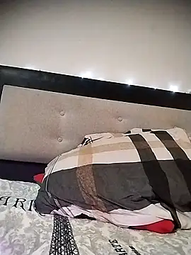 Wsativa317 webcam