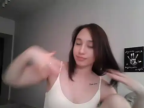 DarkMirel webcam