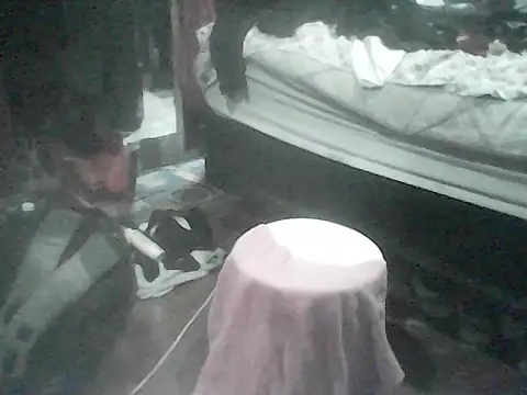 Twoslipperywhenwett webcam