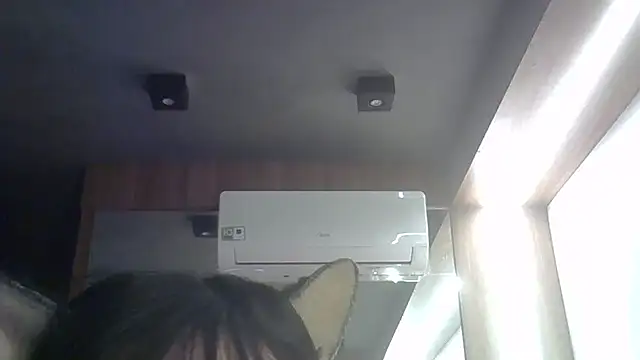 SkinnyKitten webcam
