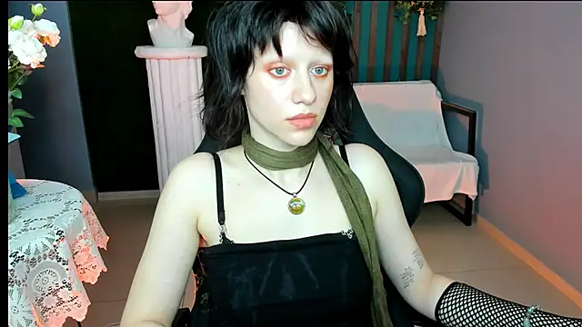 LidaDarknet webcam