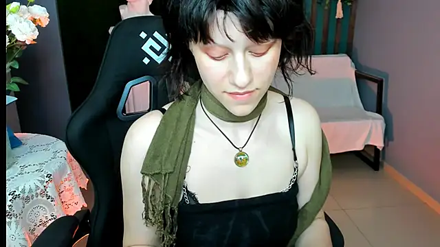 LidaDarknet webcam