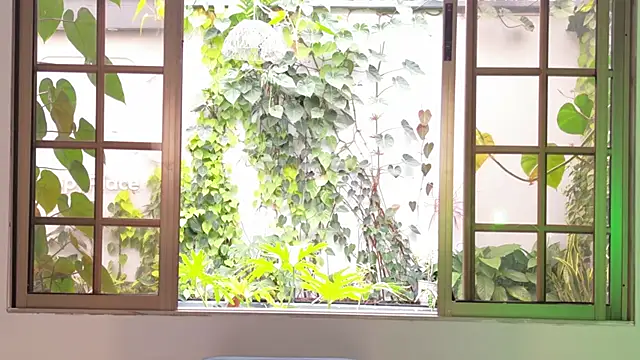 CelestePalmer_ webcam