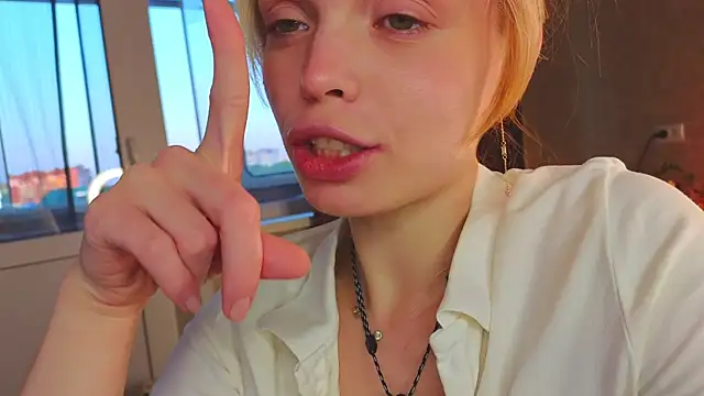 sinteas webcam