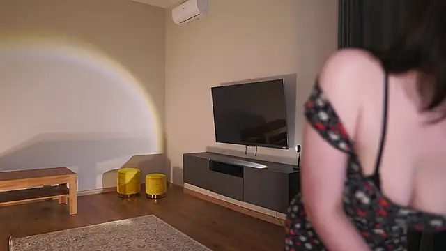 AdaBell webcam