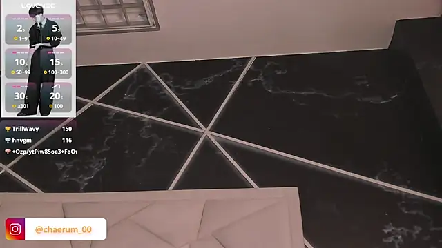 AerumChae webcam