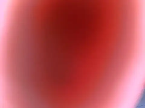 SweetBoobs2 webcam