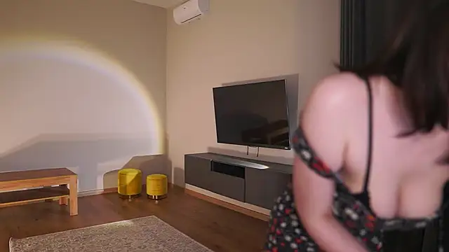 AdaBell webcam