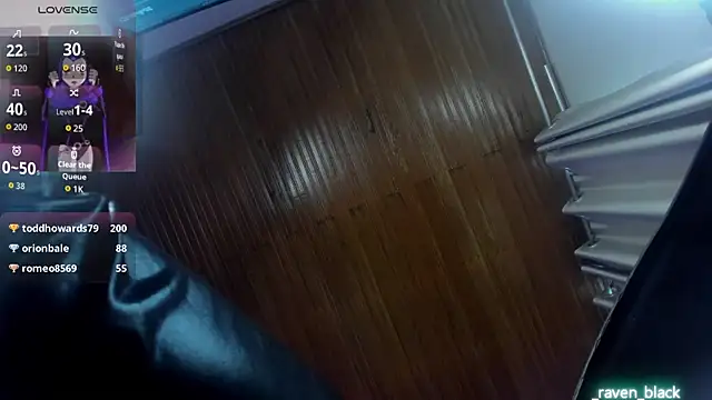 _raven_black webcam