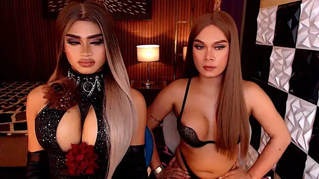StellaPerkins webcam