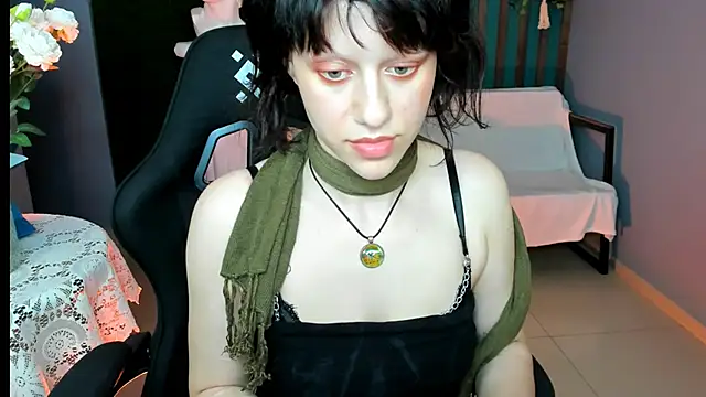 LidaDarknet webcam