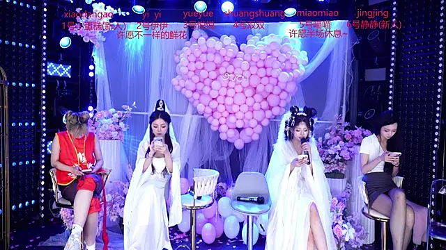 cdyyds003 webcam