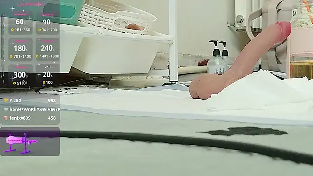 fox-yiyi
