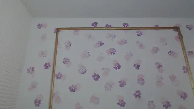 Karol_prescot webcam