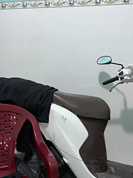 Nana-19 webcam