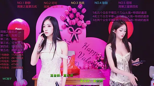 ZNZ-101 webcam