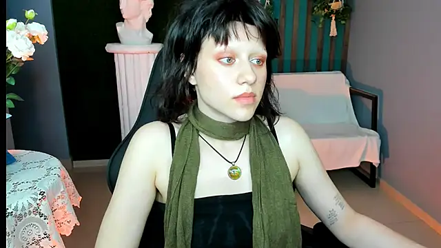 LidaDarknet webcam