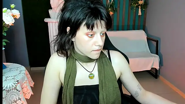 LidaDarknet webcam