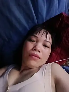 Sana-vn webcam