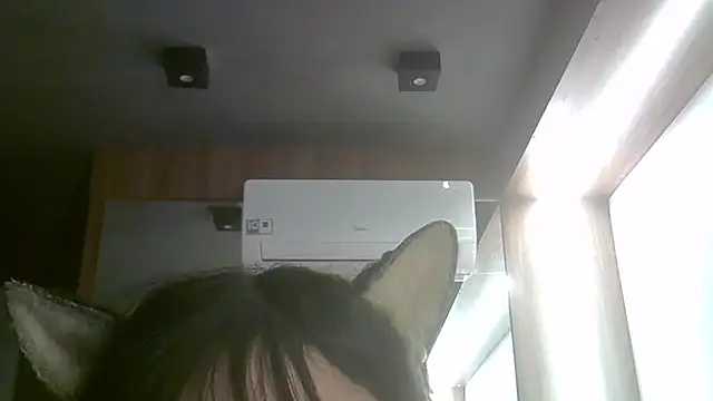 SkinnyKitten webcam