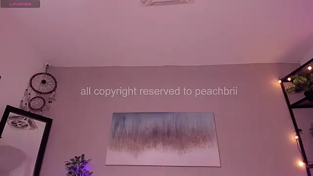 PechBri webcam