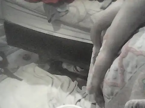 Twoslipperywhenwett webcam