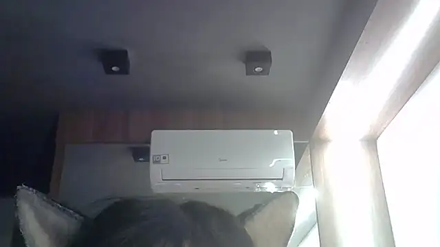 SkinnyKitten webcam