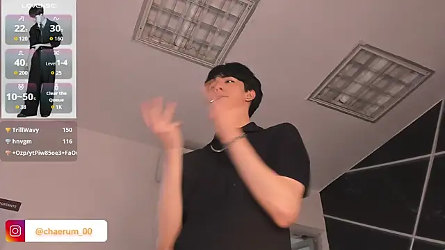 AerumChae webcam