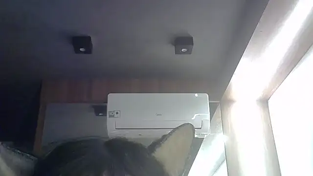 SkinnyKitten webcam