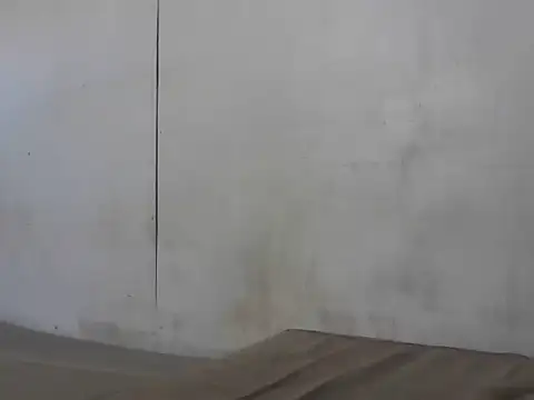 Prikev38452 webcam