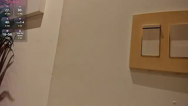 Valenvega_ webcam