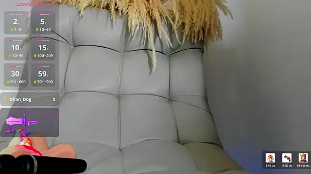 DakotaStills_ webcam