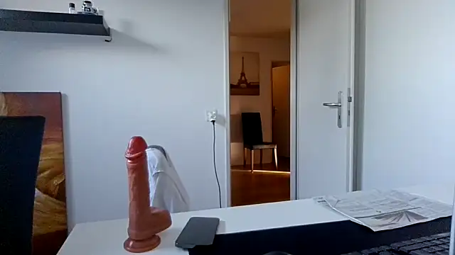 alpha-hunk webcam