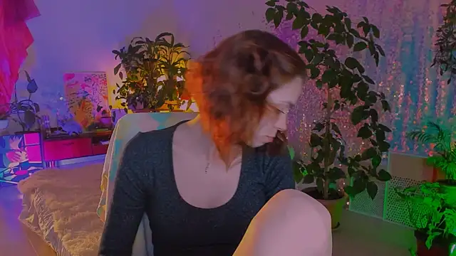 poli__ webcam