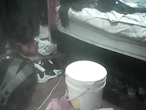 Twoslipperywhenwett webcam