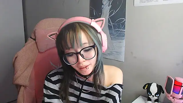 SaxonDibs webcam