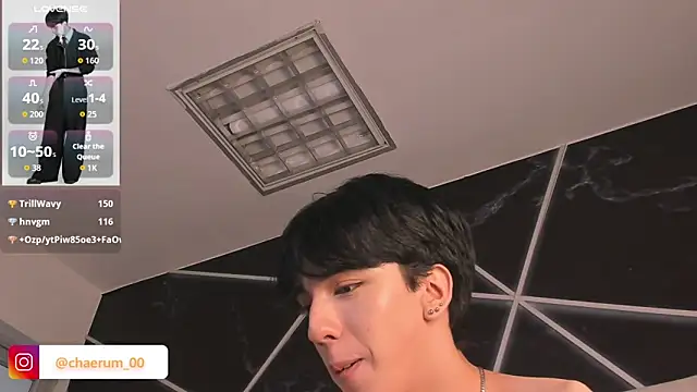 AerumChae webcam