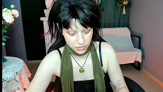 LidaDarknet webcam