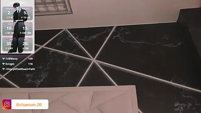 AerumChae webcam