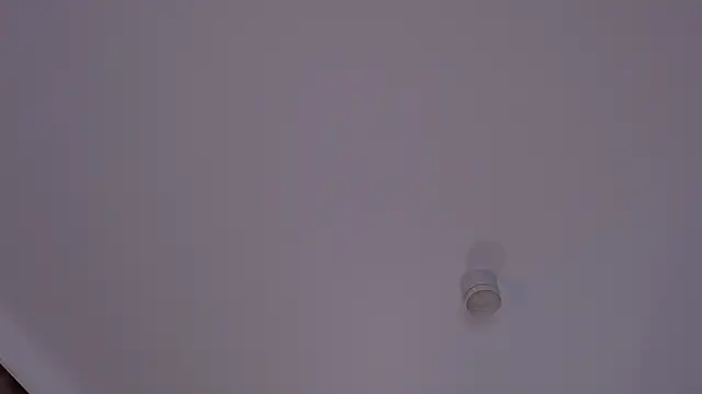 alice_wond webcam