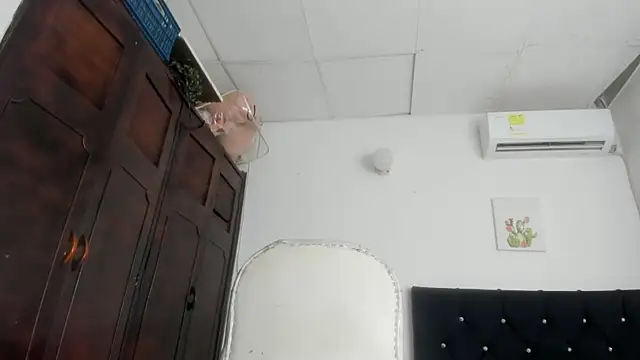 barbie_ds webcam