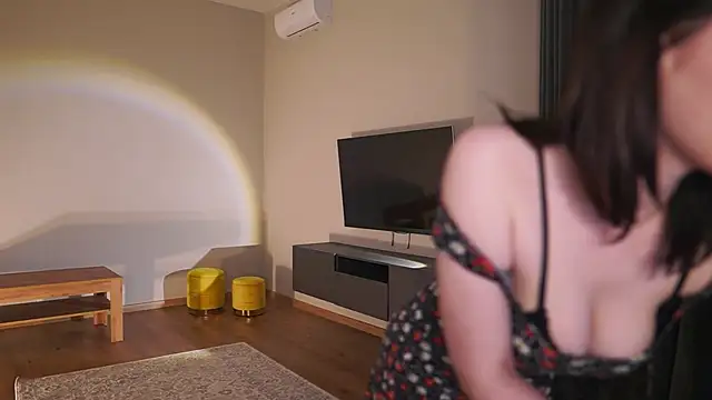 AdaBell webcam
