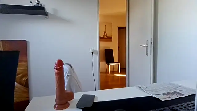 alpha-hunk webcam
