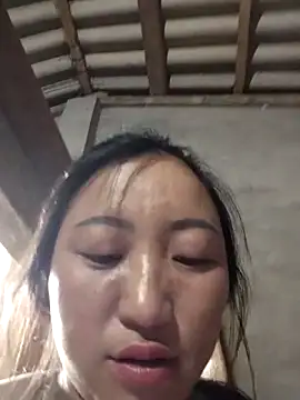 zhen-zo webcam