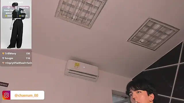 AerumChae webcam