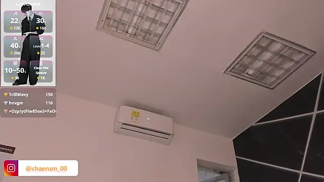 AerumChae webcam