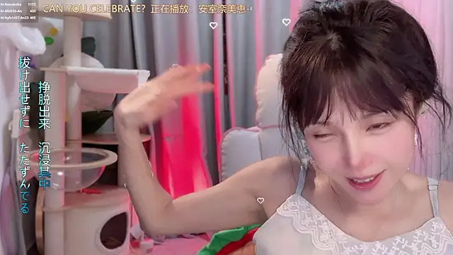 hi-AnAn webcam